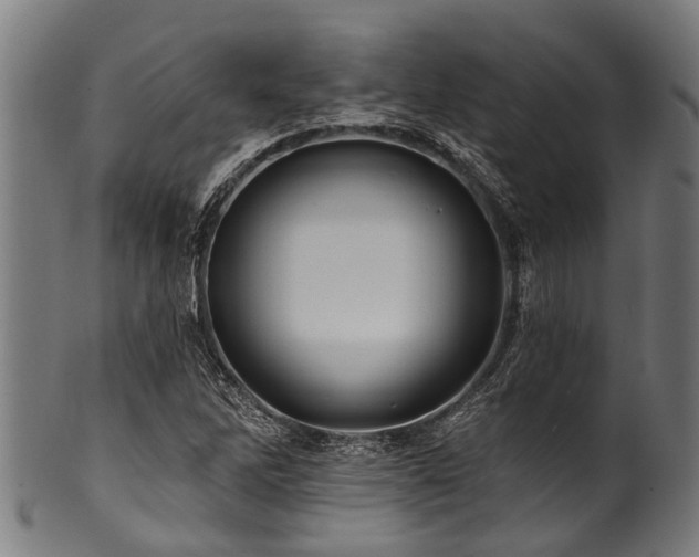 X0000100971262200806241543