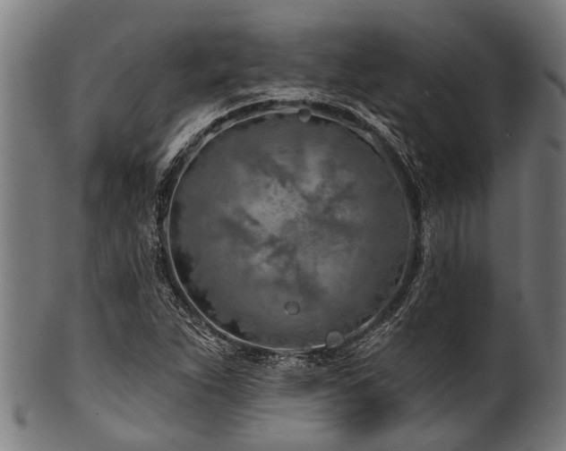 X0000100971263200806241543