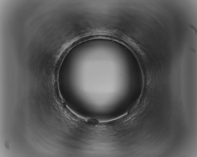 X0000100971264200806241543