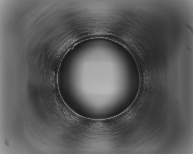 X0000100971265200806241543