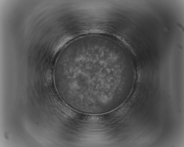 X0000100971266200806241543