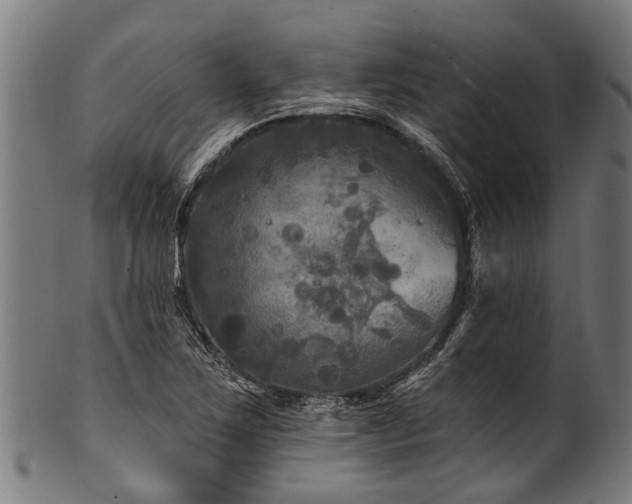 X0000100971267200806241543