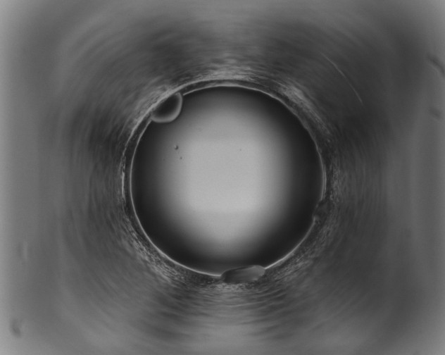 X0000100971268200806241543