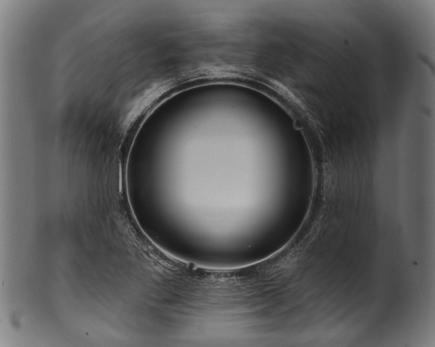 X0000100971269200806241542