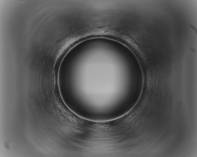 X0000100971270200806241542