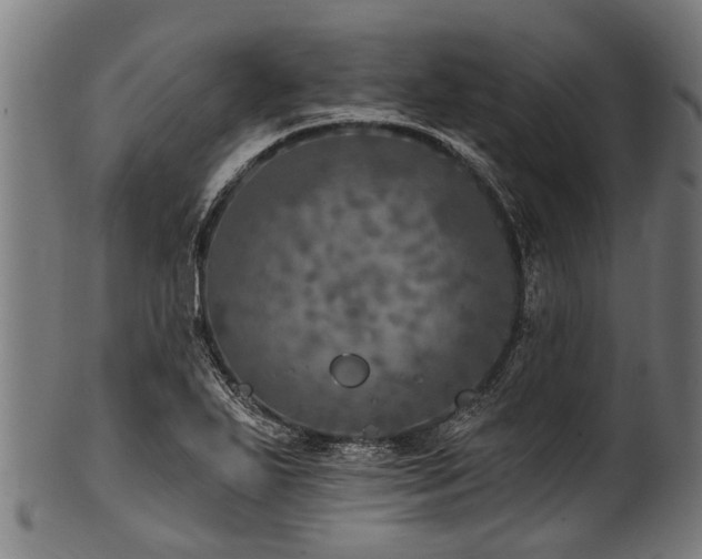 X0000100971271200806241542