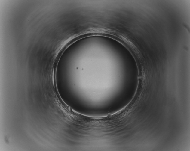 X0000100971272200806241542