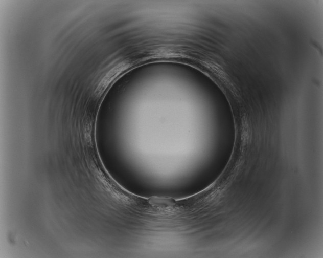 X0000100971273200806241542