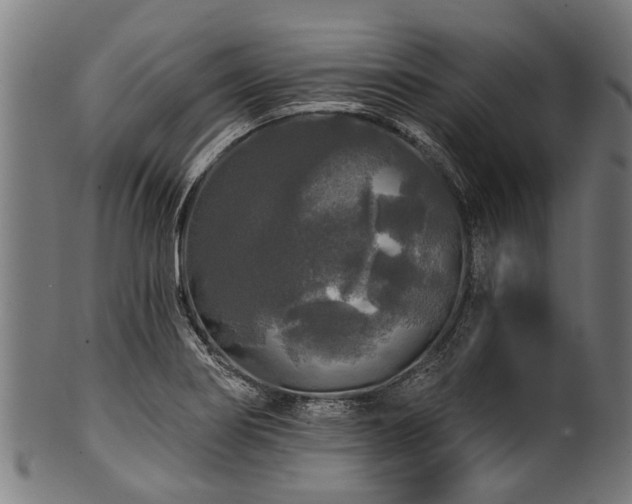 X0000100971274200806241542