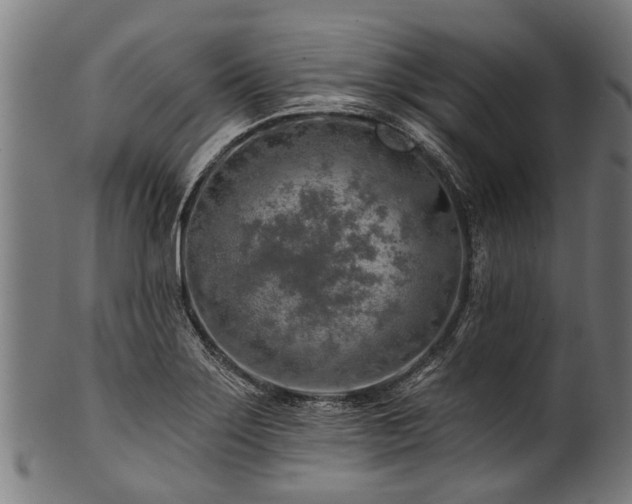 X0000100971275200806241542