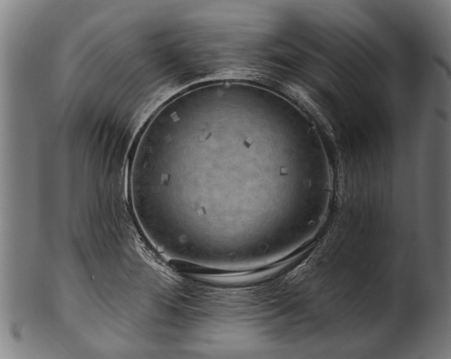 X0000100971276200806241542