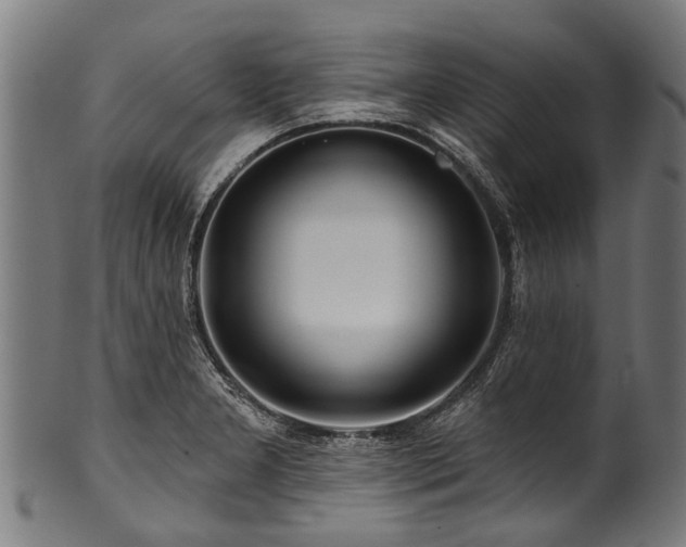 X0000100971277200806241542