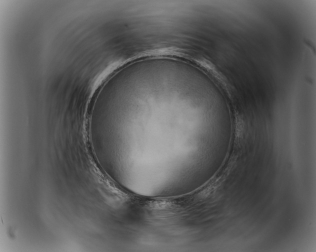 X0000100971278200806241542