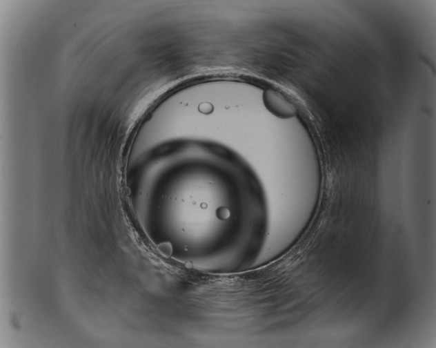 X0000100971279200806241542