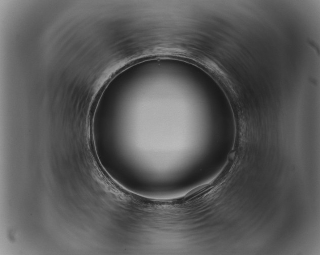 X0000100971280200806241542