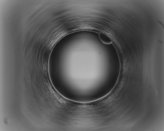 X0000100971281200806241542