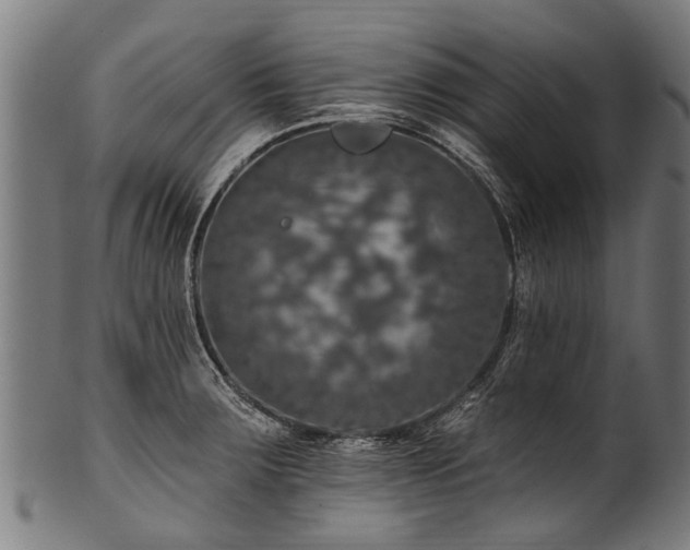 X0000100971283200806241542