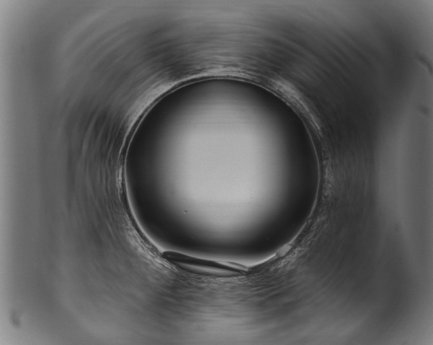 X0000100971284200806241542