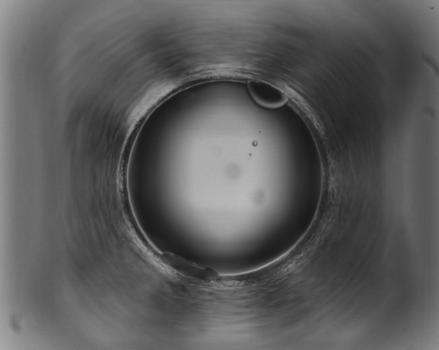 X0000100971285200806241542