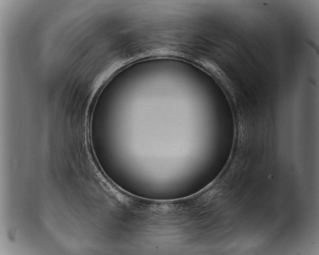 X0000100971286200806241542