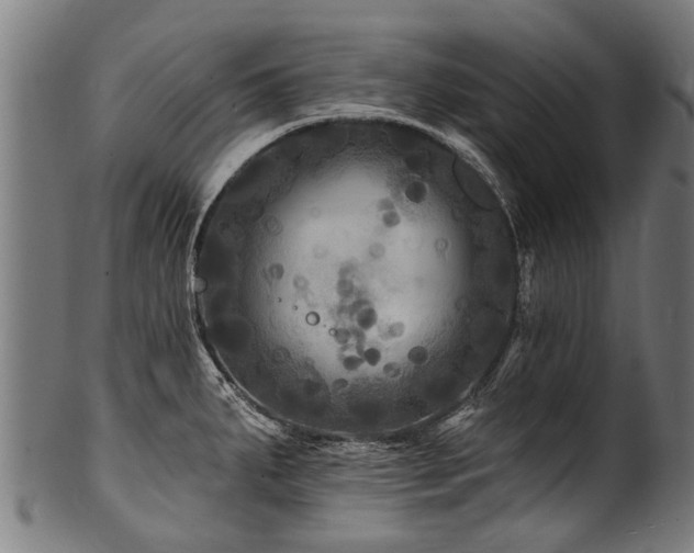 X0000100971287200806241542