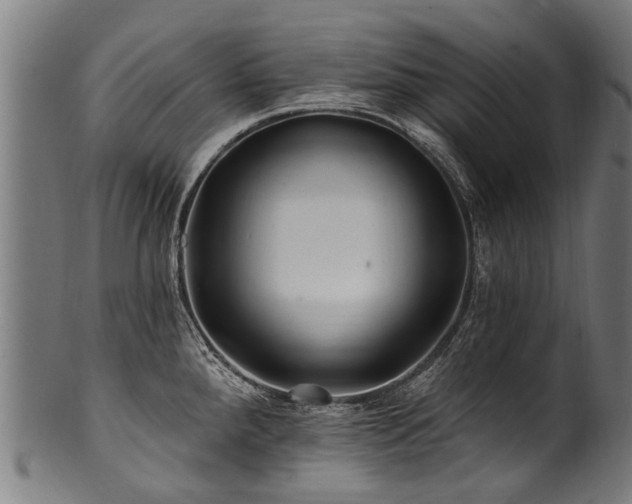 X0000100971288200806241542