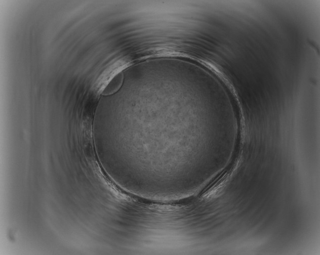 X0000100971289200806241542