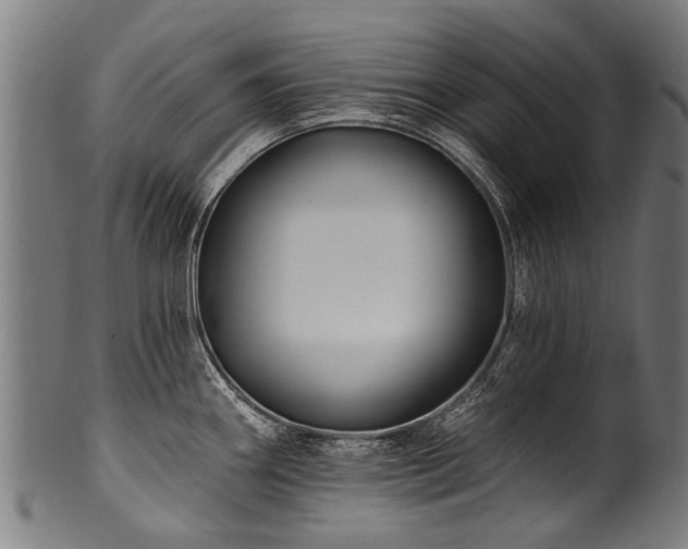 X0000100971290200806241542