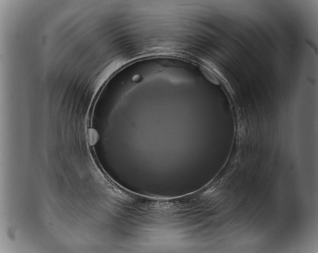 X0000100971291200806241542