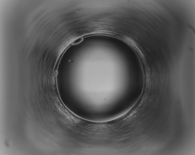 X0000100971292200806241542