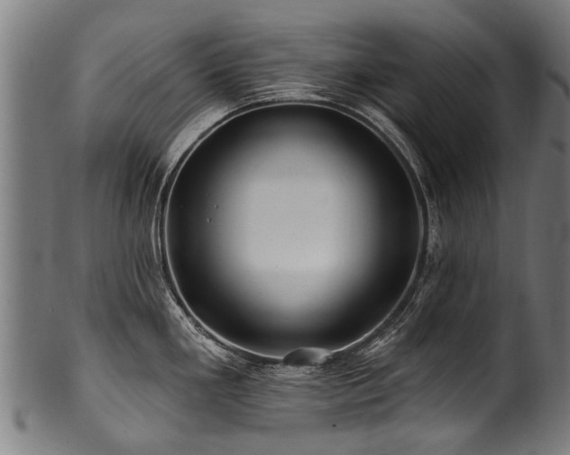 X0000100971293200806241542