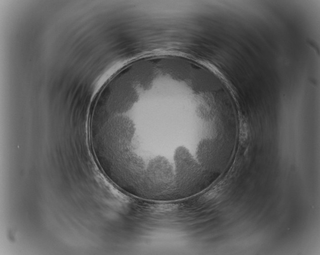 X0000100971294200806241542