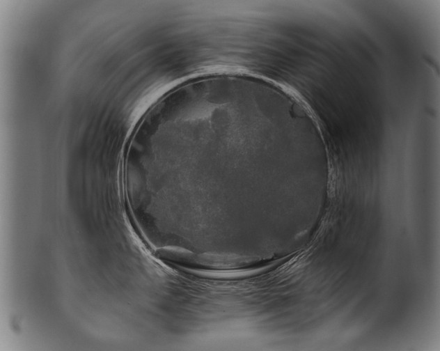 X0000100971295200806241542