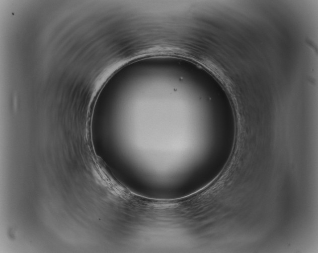 X0000100971296200806241542