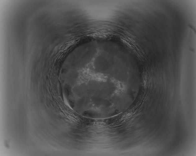 X0000100971297200806241541