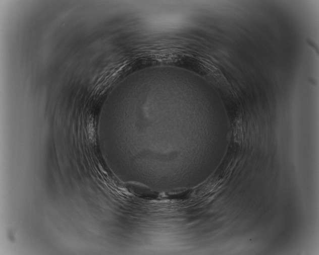 X0000100971298200806241541