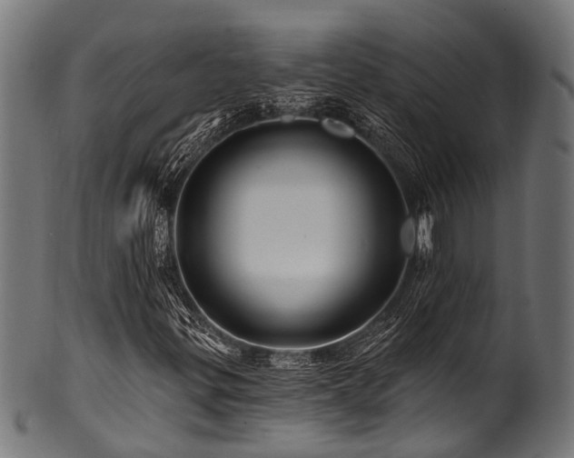 X0000100971299200806241541