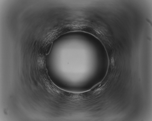 X0000100971300200806241541