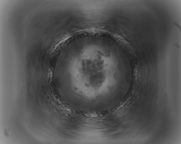 X0000100971302200806241541