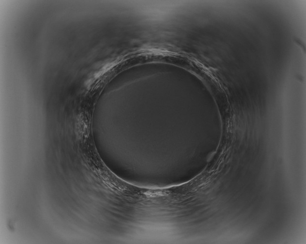 X0000100971303200806241541