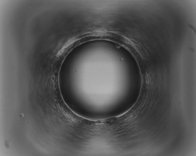 X0000100971304200806241541