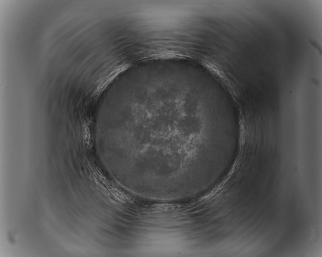 X0000100971305200806241542