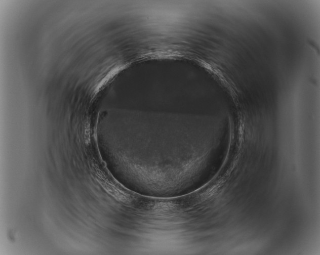 X0000100971306200806241542