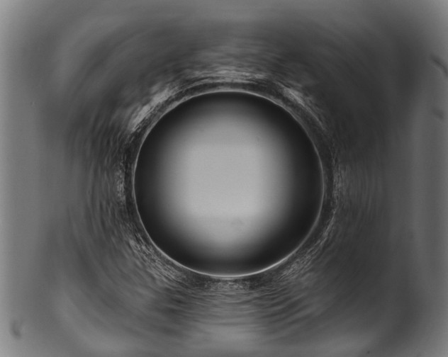 X0000100971307200806241542