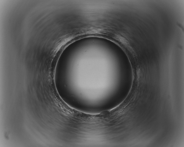 X0000100971308200806241542