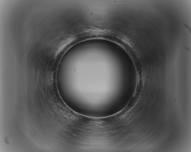 X0000100971309200806241542