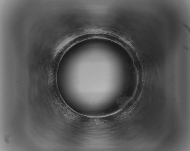 X0000100971311200806241542