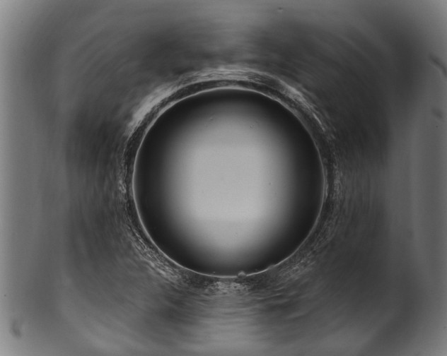 X0000100971312200806241542