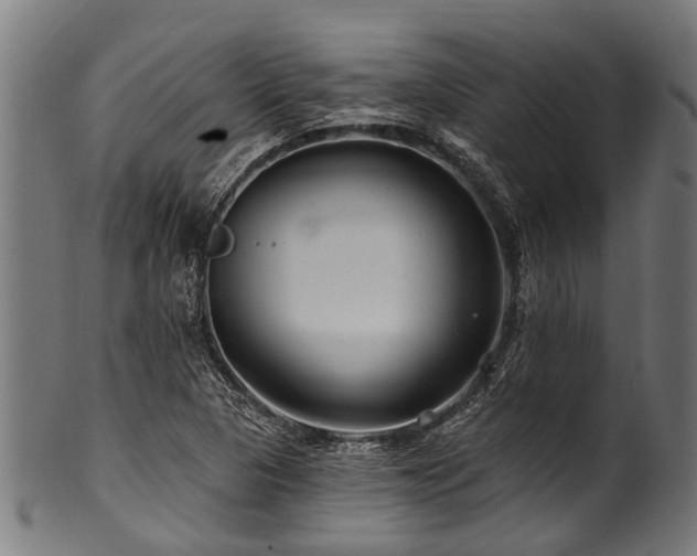 X0000100971313200806241542