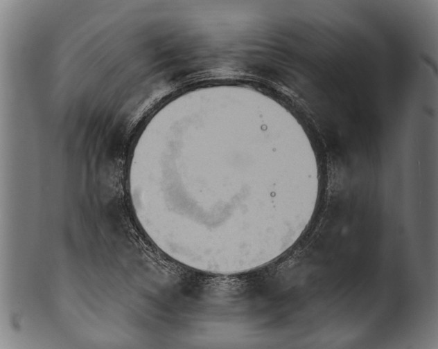 X0000100971314200806241542